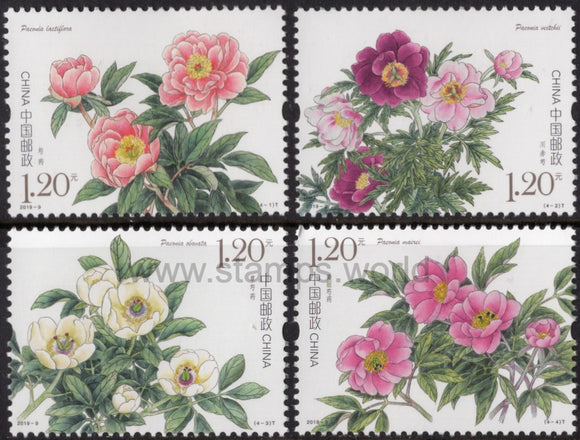 China. 2019 Peony. MNH