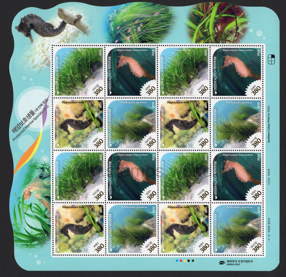 South Korea. 2020 Protected Marine Species. MNH