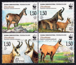 Bosnia and Herzegovina. Mostar. 2017 Fauna. Chamois. WWF. MNH